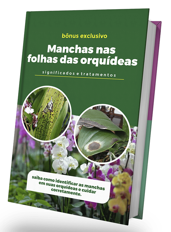 MANCHAS